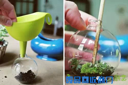 DIY多肉植物装饰小物~少女心泛滥