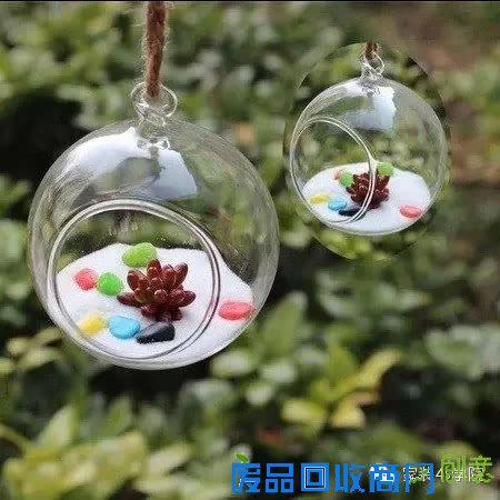 DIY多肉植物装饰小物~少女心泛滥