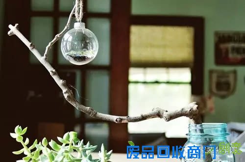 DIY多肉植物装饰小物~少女心泛滥