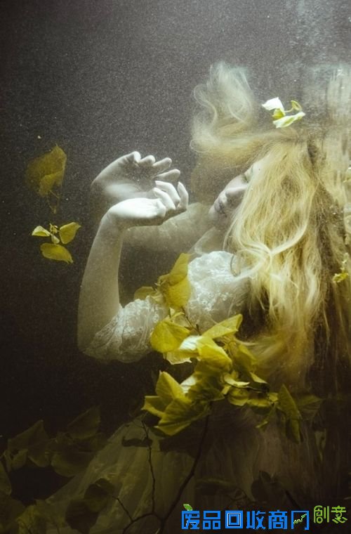 童话般的视觉效果 唯美清新的水下摄影（5）