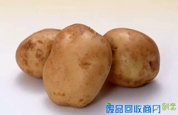 【创意手工】瓶盖这么用，孩子都笑开花了