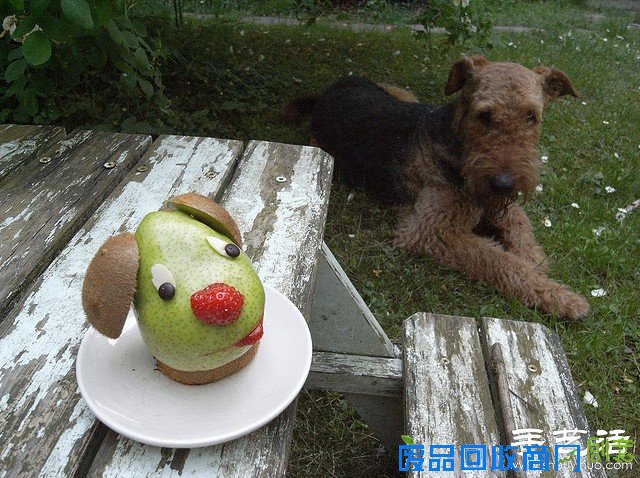 DIY趣味食物摆盘 创意让生活更美好 -  