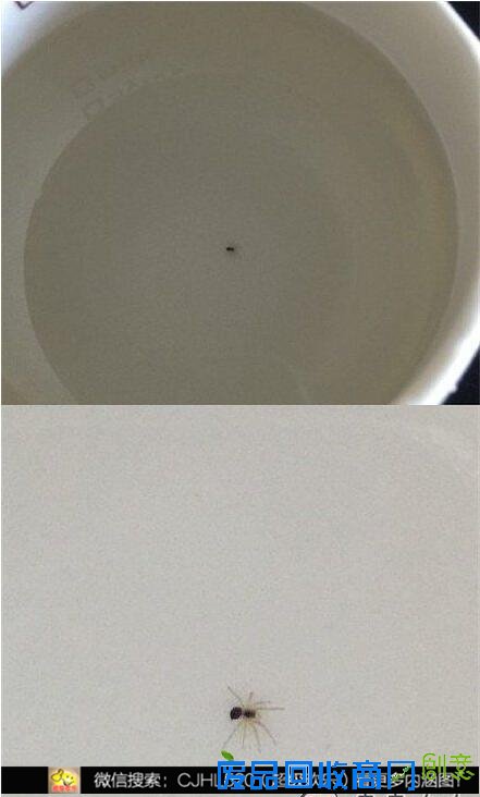 搞笑图片：手上有1000万，谁告诉我怎么花