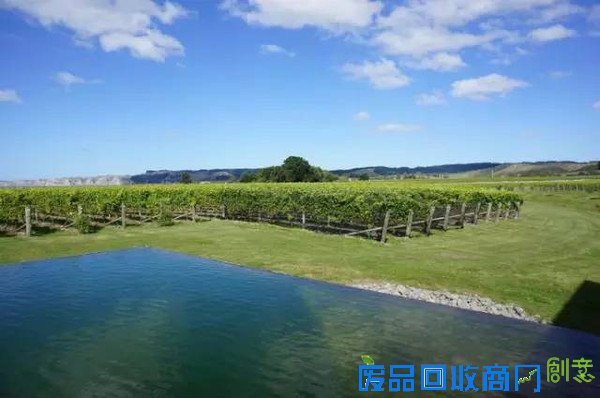 吴奇隆刘诗诗新西兰唯美婚纱照曝光,每一张都是大片!