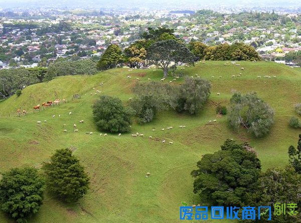 吴奇隆刘诗诗新西兰唯美婚纱照曝光，每一张都是大片！