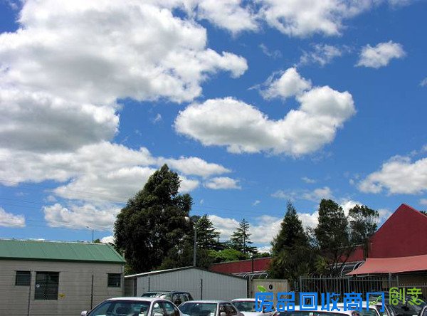 吴奇隆刘诗诗新西兰唯美婚纱照曝光，每一张都是大片！