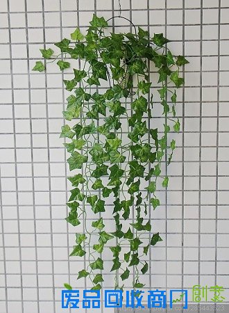 壁挂绿叶 花篮 花瓶