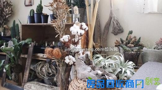 如何用木箱装饰出“纯洁”自然风格？