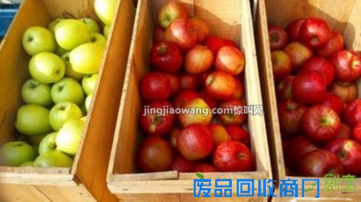 如何用木箱装饰出“纯洁”自然风格？