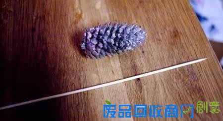 10种创意 DIY迷你小森林