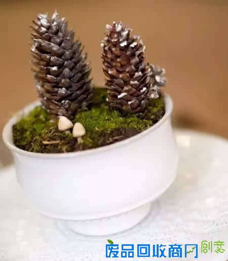 10种创意 DIY迷你小森林