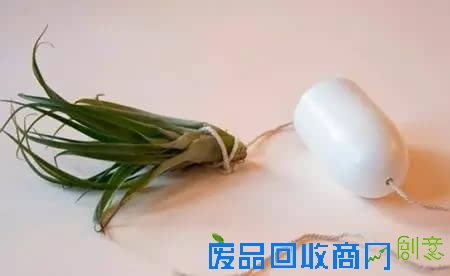 10种创意 DIY迷你小森林