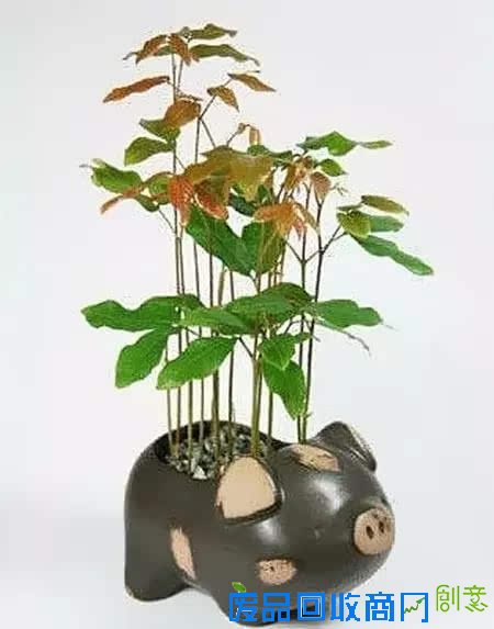 10种创意 DIY迷你小森林