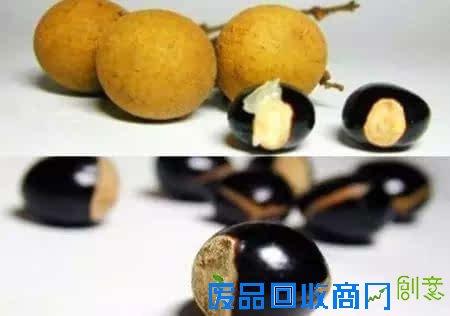 10种创意 DIY迷你小森林