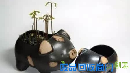 10种创意 DIY迷你小森林