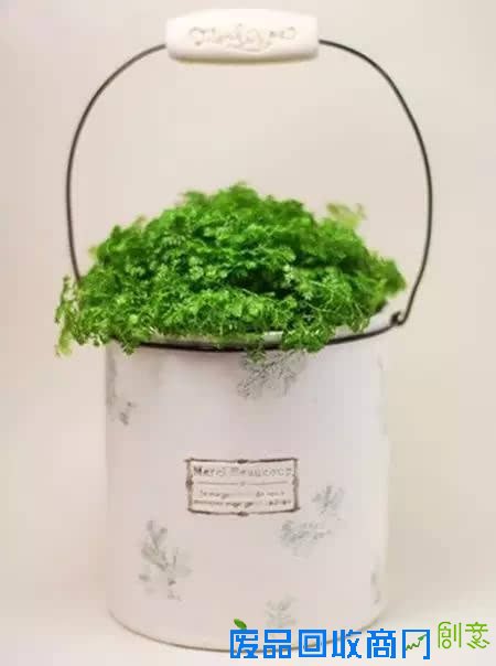 10种创意 DIY迷你小森林