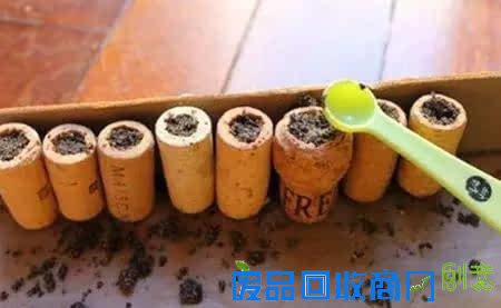 10种创意 DIY迷你小森林