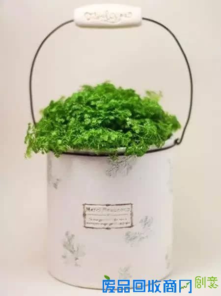 10种创意 DIY迷你小森林