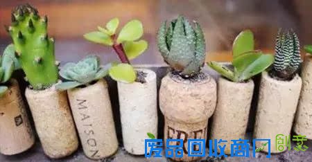 10种创意 DIY迷你小森林