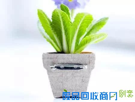 10种创意 DIY迷你小森林