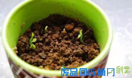 10种创意 DIY迷你小森林