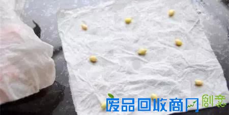 10种创意 DIY迷你小森林