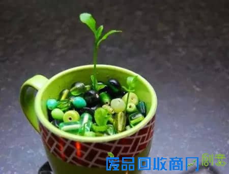 10种创意 DIY迷你小森林