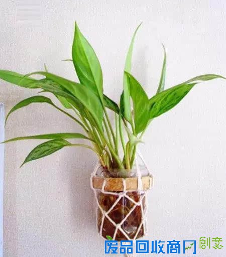 10种创意 DIY迷你小森林