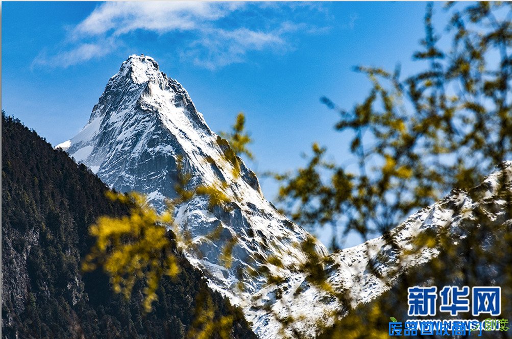 新华网西藏频道特别策划