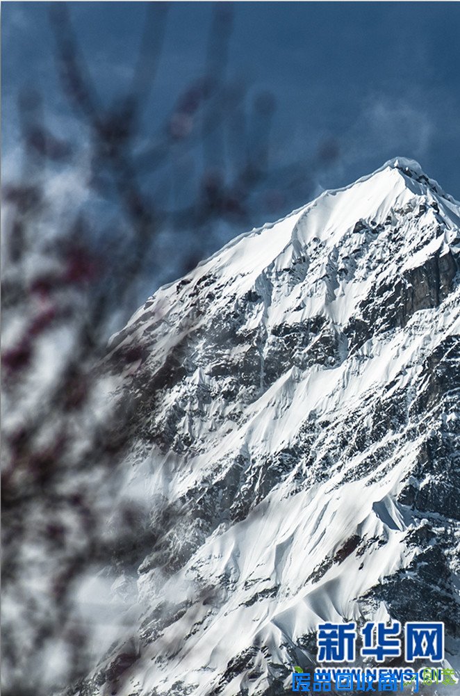 新华网西藏频道特别策划