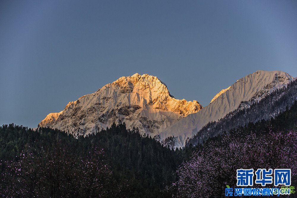 新华网西藏频道特别策划