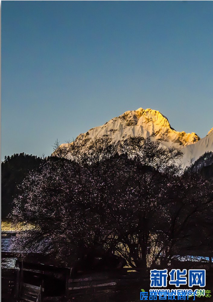 新华网西藏频道特别策划