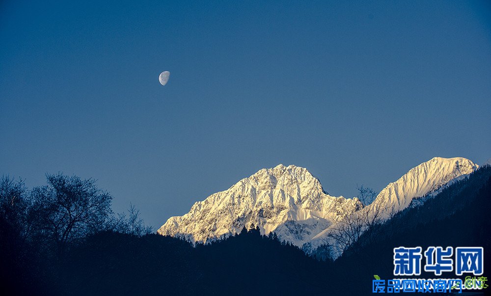 新华网西藏频道特别策划