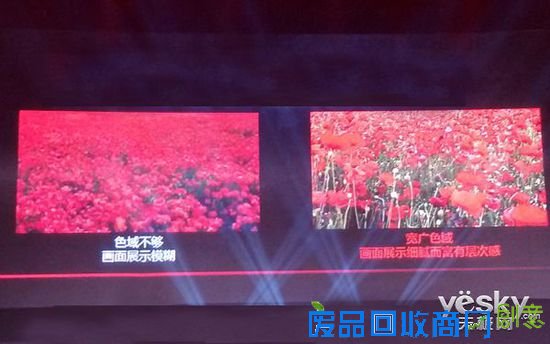 游戏不是唯一 当显示器遇摄影/设计师将如何?