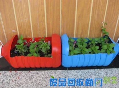 早知道塑料瓶养花种菜这么爽，还买什么花盆！