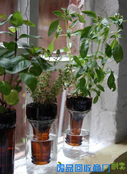 早知道塑料瓶养花种菜这么爽，还买什么花盆！