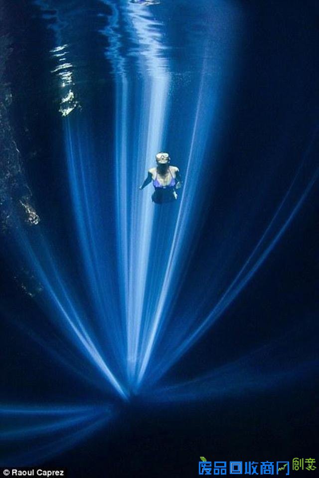 水下摄影大赛佳作:激萌小海豹紧抱潜水员脚蹼