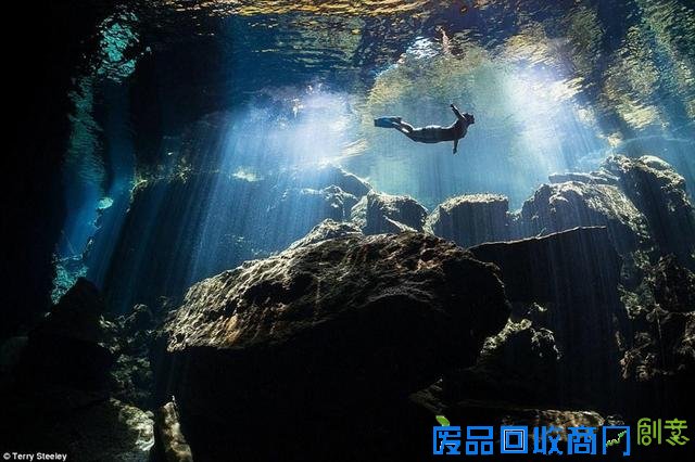 水下摄影大赛佳作:激萌小海豹紧抱潜水员脚蹼