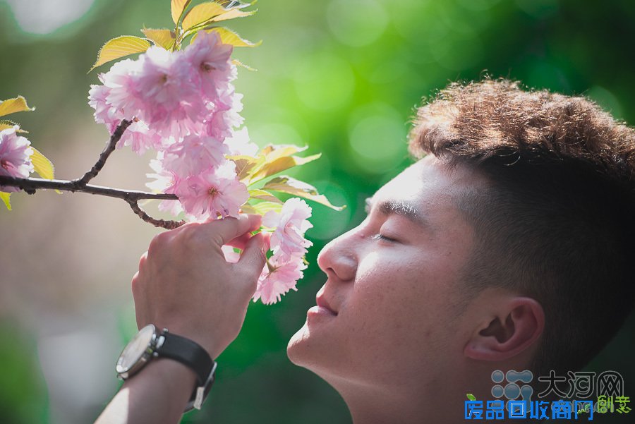河南高校樱花盛放游人如织 鲜花美女成风景
