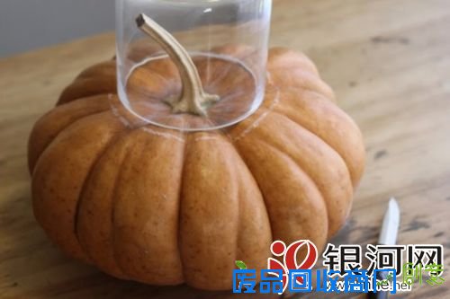 万圣节节日家居装饰——DIY南瓜花瓶插花