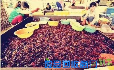 武汉创意龙虾引爆朋友圈，最新口味你绝对没吃过！