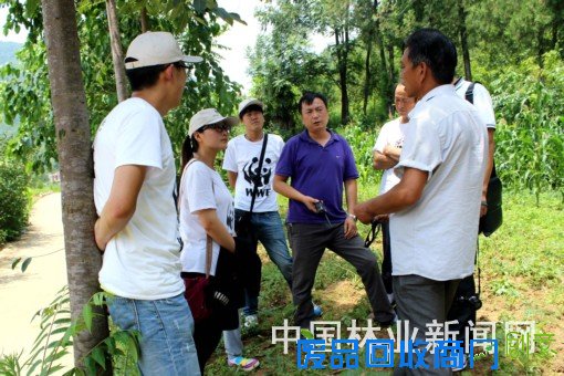 《中国林业新闻网》绿动秦岭 行动在我