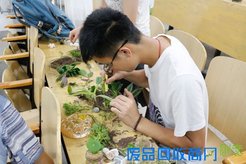 华农学生盆栽DIY 利用废品绿化生活 华农学生盆栽DIY 利用废品绿化生活