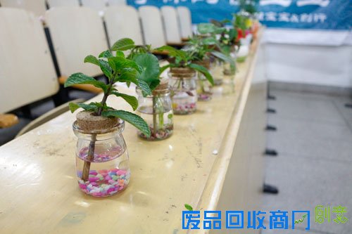 华农学生盆栽DIY 利用废品绿化生活 华农学生盆栽DIY 利用废品绿化生活
