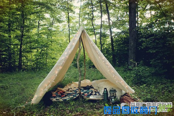 盛夏夜的Instagram Worthy沙滩派对