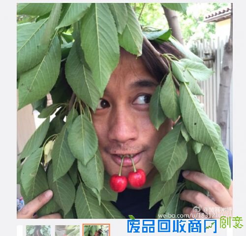 混迹娱乐圈 从未有过绯闻正能量满满的十大明星（5）
