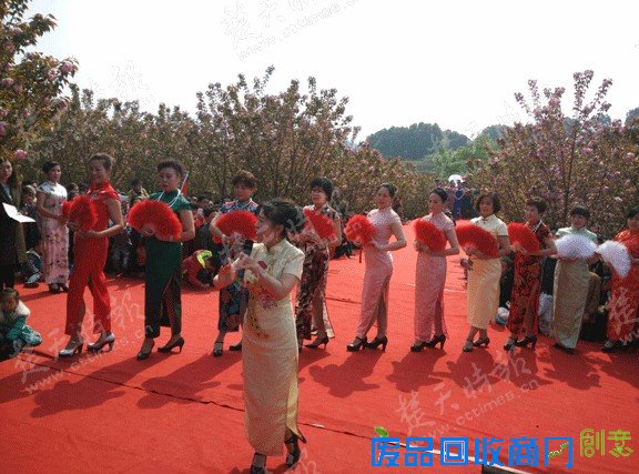 还地桥樱花季 美女秀旗袍 骚客办笔会