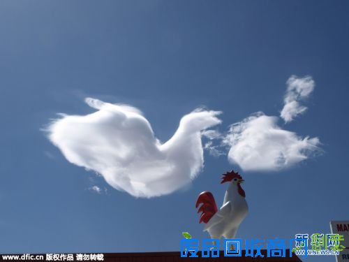 高清:视觉盛宴!世界气象日盘点那些惊艳的奇异天象