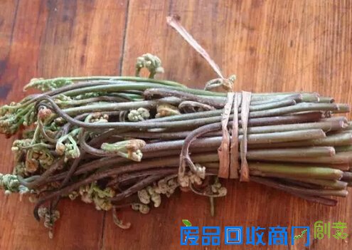 清明节安徽人吃什么?青团馓子螺蛳蒿子粑粑你吃了几个?