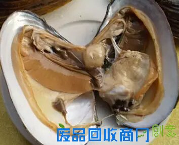 清明节安徽人吃什么?青团馓子螺蛳蒿子粑粑你吃了几个?